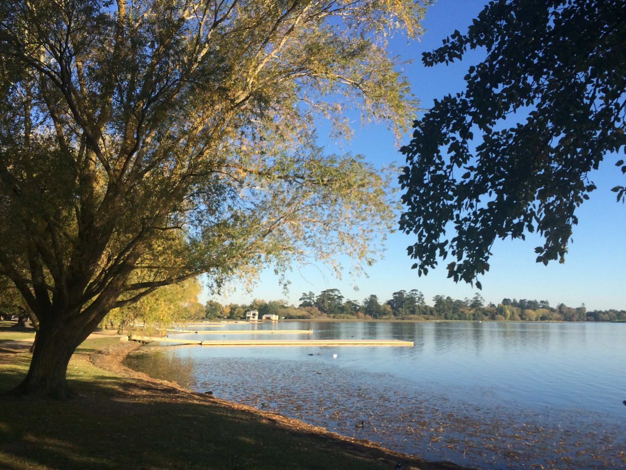 Lake Wendouree Luxury Apartments On Webster Ballarat Exterior foto